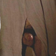 Image for article titled Fifty Shades of Dick: The Best Crotch Shots in Mainstream Film